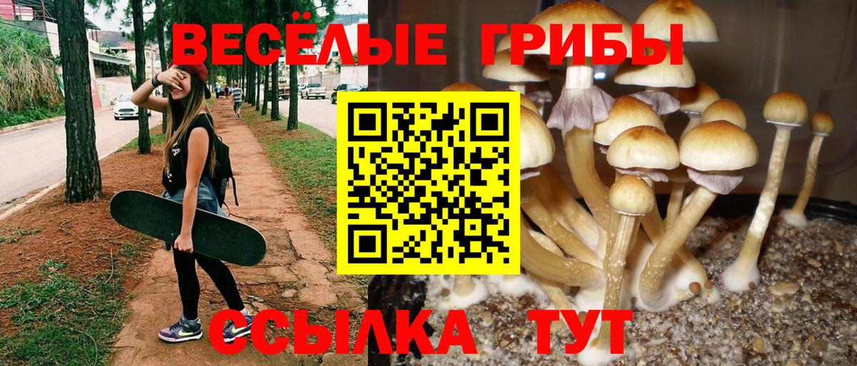 Псилоцибиновые грибы мухоморы Карталы